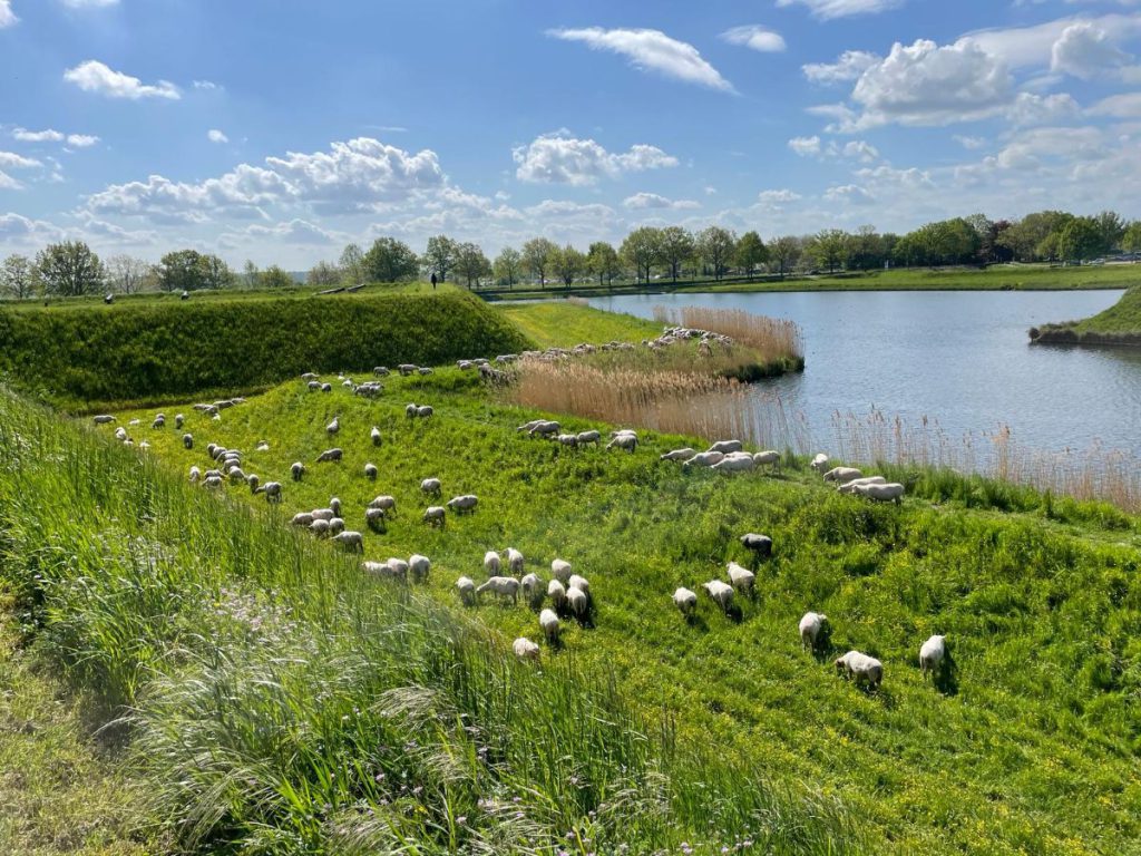 Waar ligt Heusden Noord Brabant