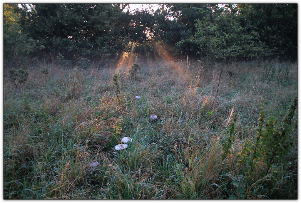 wandelen in de moerputten