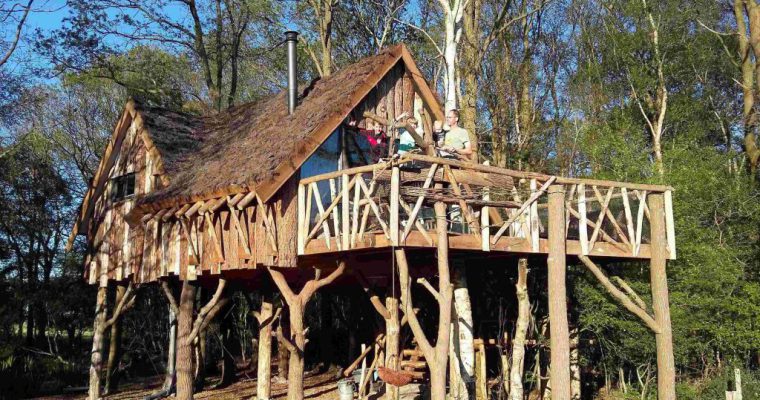 Boomhut Drenthe – een overnachting in een boomhut!