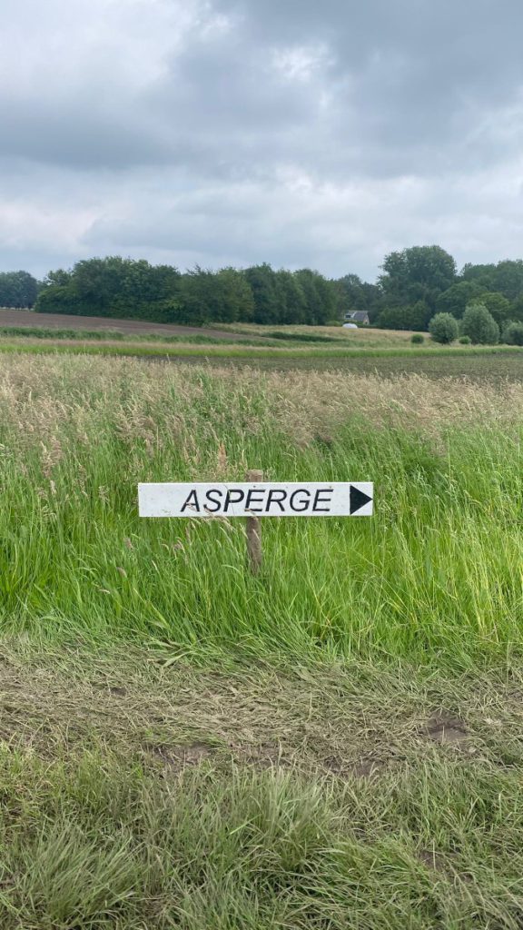 aspergeboerderij oppe haes roggel limburg bezoek weert asperge