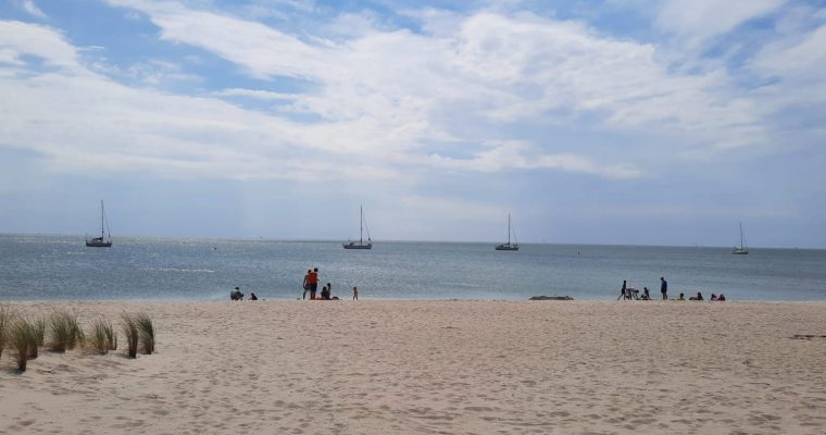 Dagtocht Marker Wadden: een bijzondere plek in Nederland