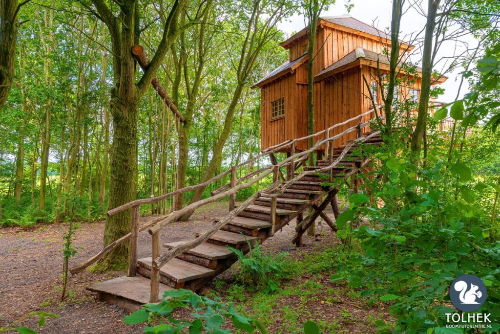 boomhut in het bos