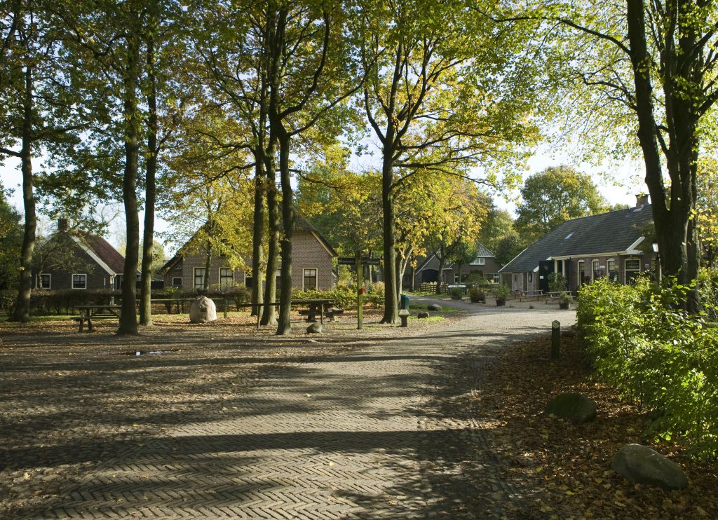 orvelte