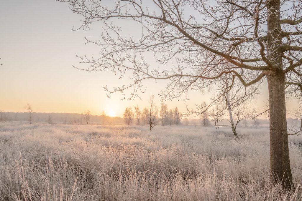 Nationaal Park Dwingelderveld