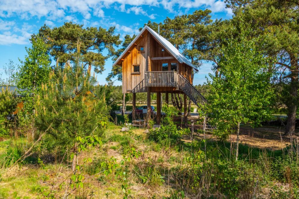boomhut de wije werelt otterlo