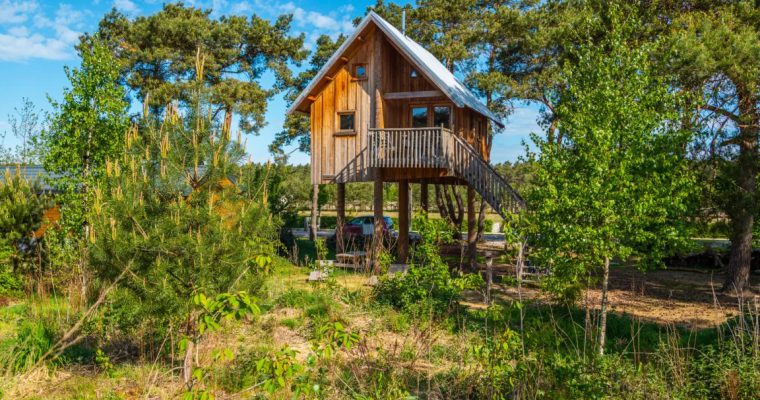 Boomhut overnachting in Nederland – een lijst met mooie plekken