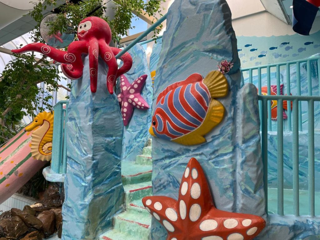 Aqua mundo zwembad Center Parcs Limburgse Peel