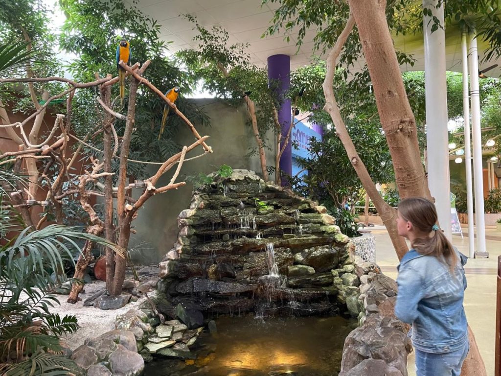 waterval met papegaaien