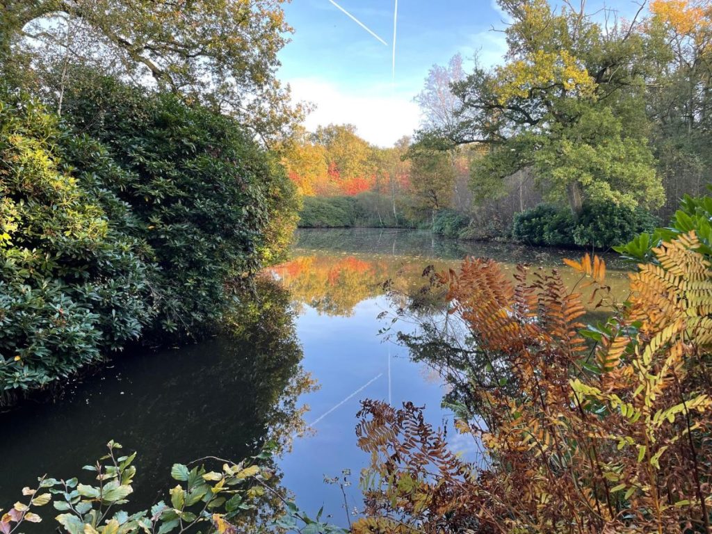 Wandeling wamberg rosmalen natuur bos herfstwandelingen
