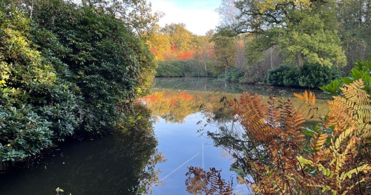 Herfstwandelingen in de Nederlandse natuur – een uitje voor het gezin