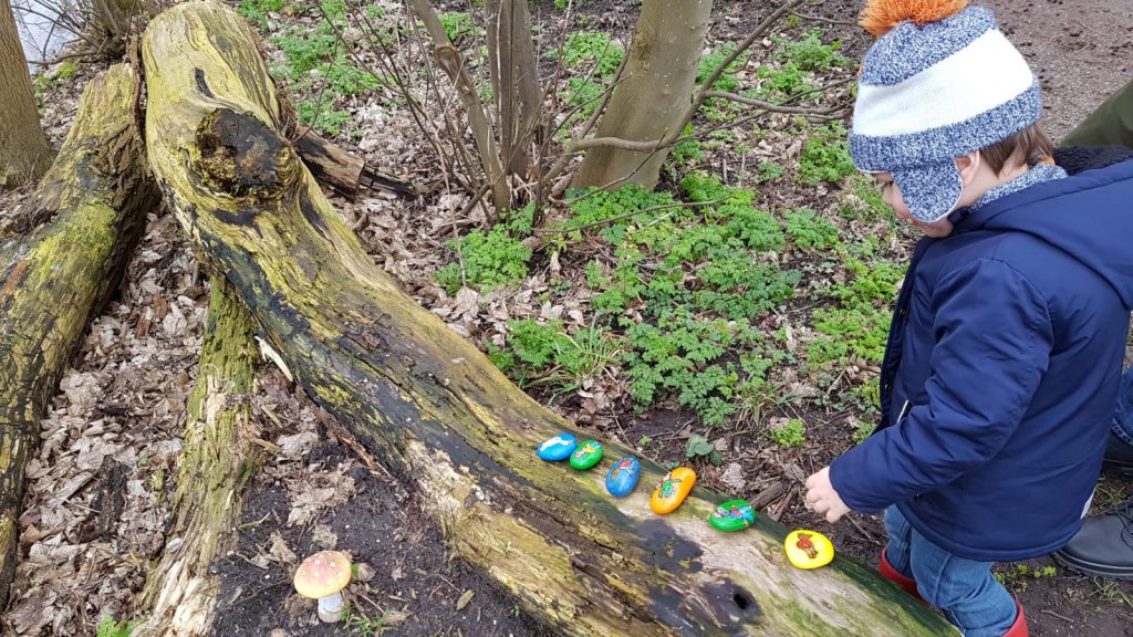 zwerfstenen in het bos