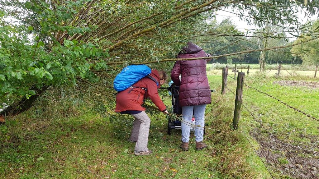vrouwen met wandelwagen door de bosjes