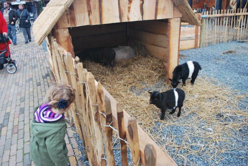 meisje bij de geitjes kinderboerderij dieren