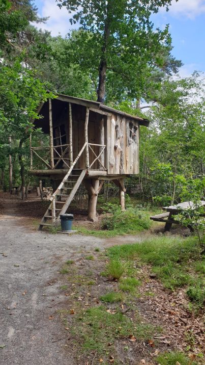 slapen in een boomhut