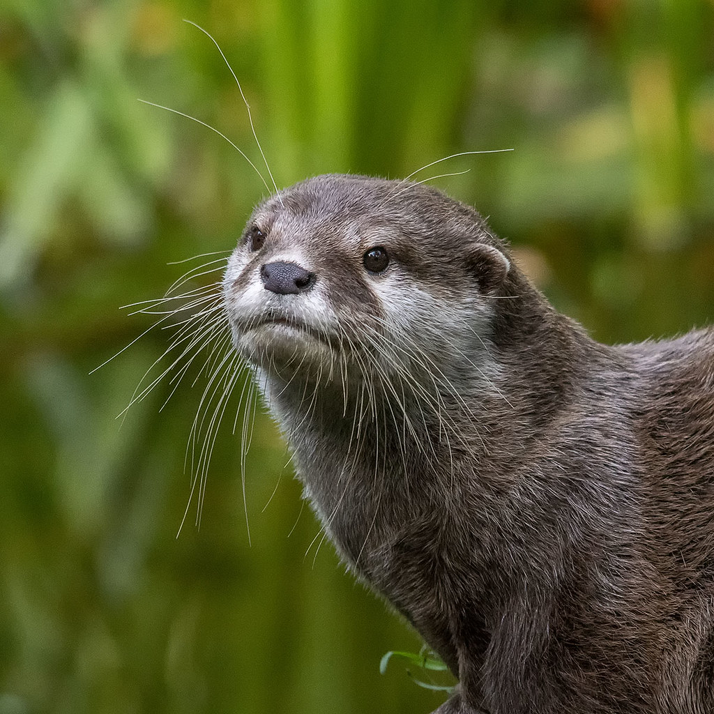 aquazoo leeuwarden