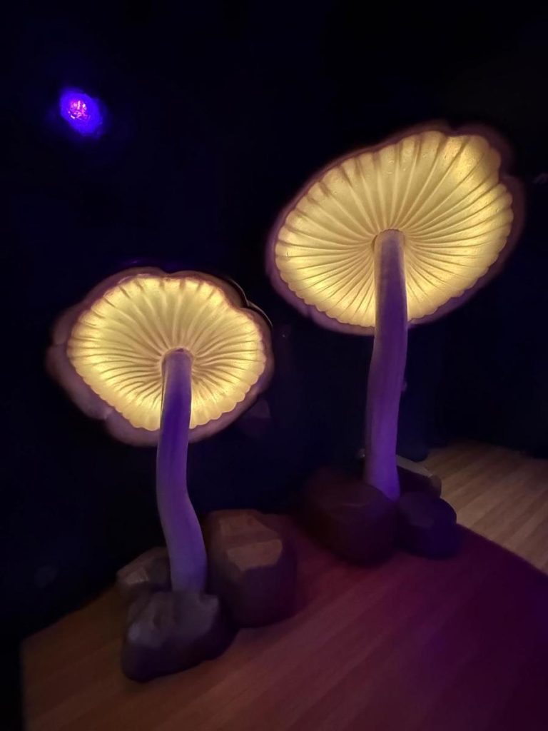 paddenstoelen