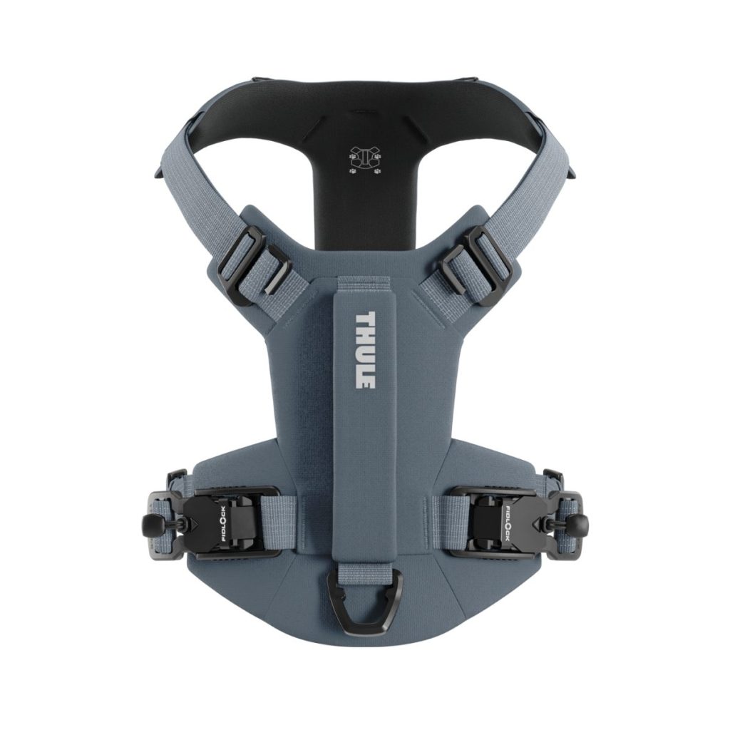 Thule Dart