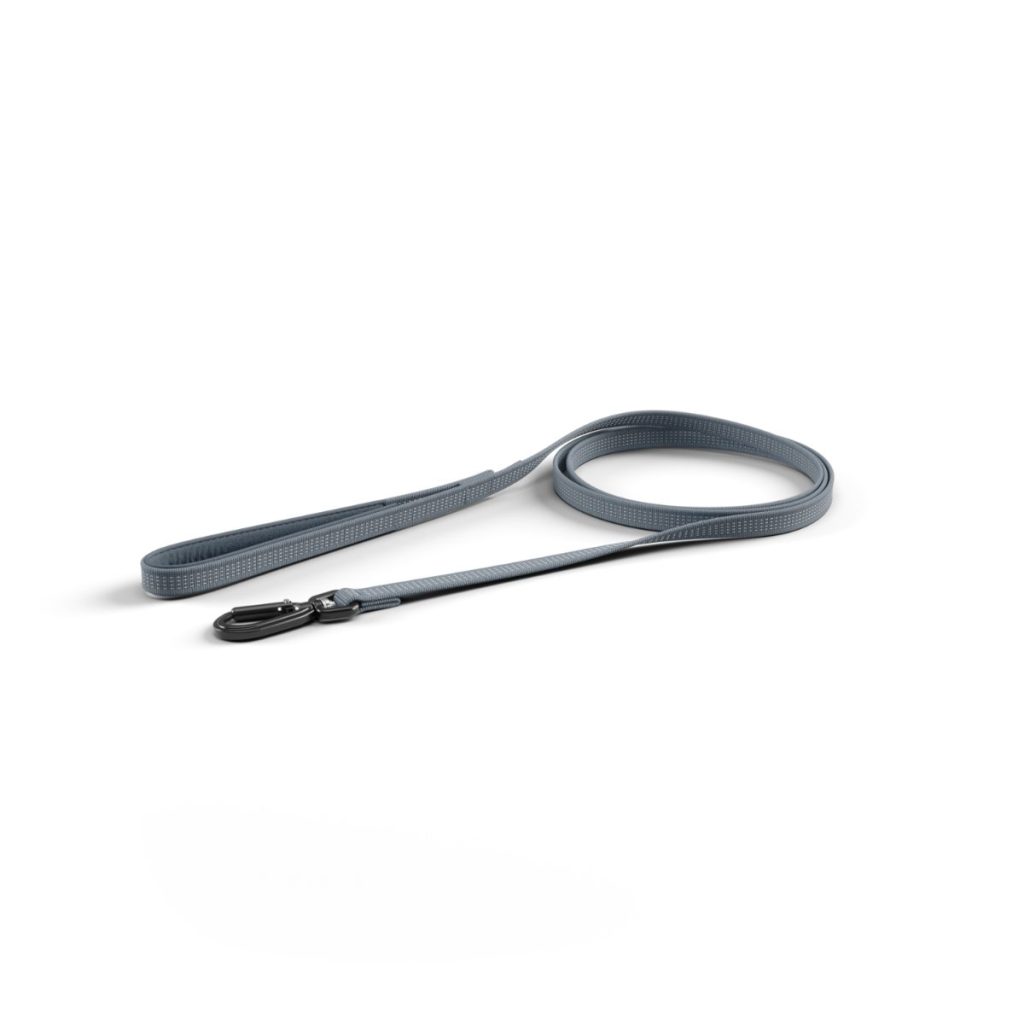 Thule Dart