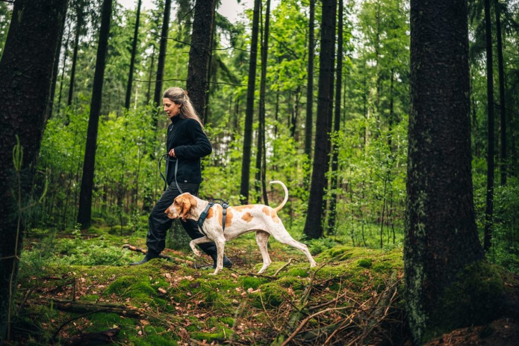 Met de hond naar Terschelling: wandelen en vakantie vieren met Thule Dart