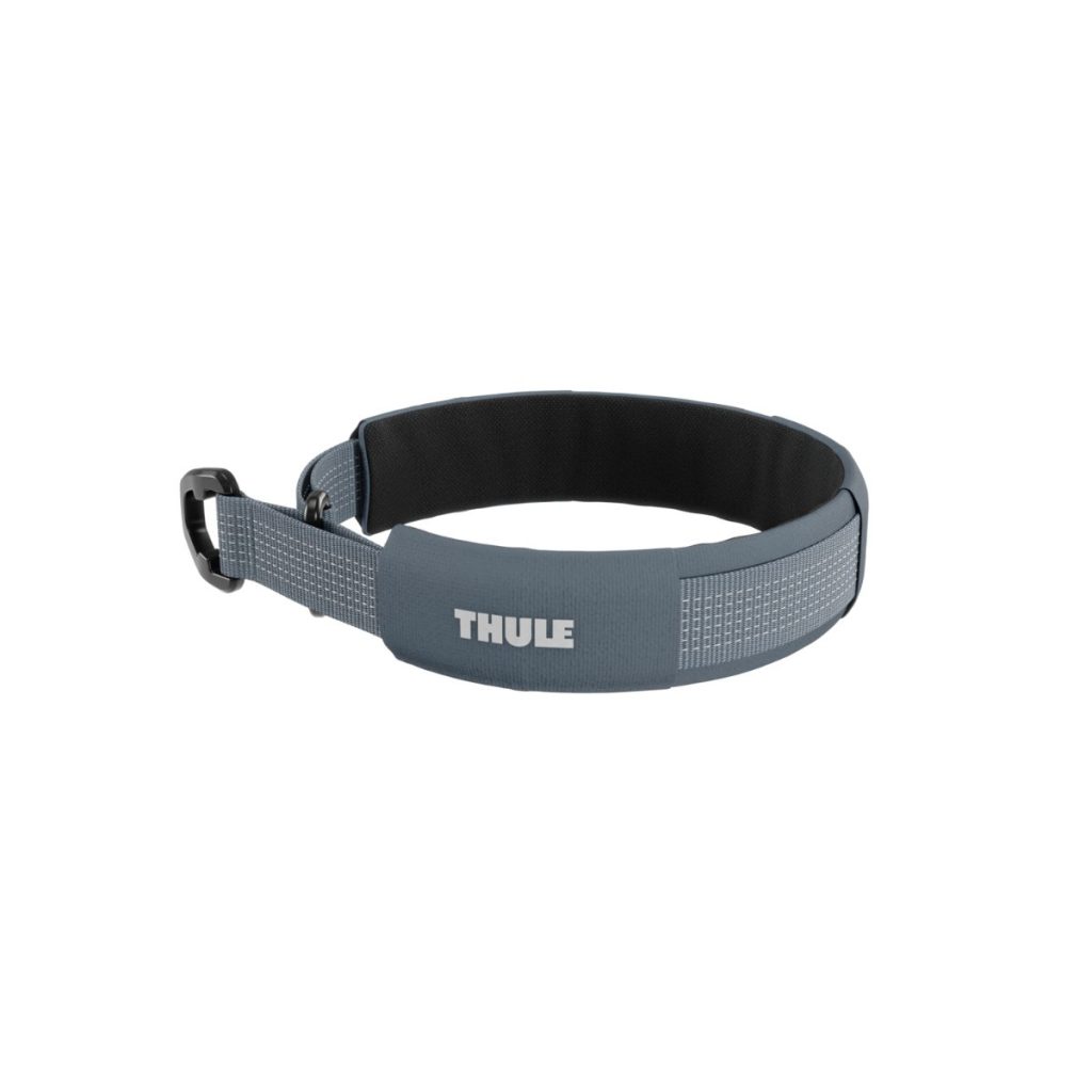 Thule Dart